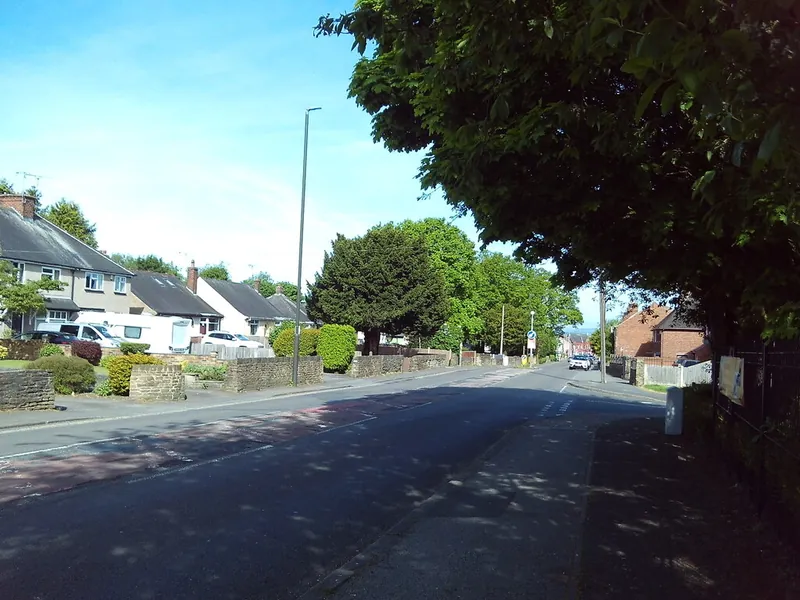Mansfield Road in Hasland on a sunny day, a quiet tree-lined road with semi-detached houses and stone garden walls on the left, sloping away towards the junction with Heathervale Road.